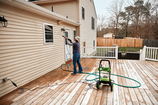 Best Pressure Washing Near Me  in Romulus, MI