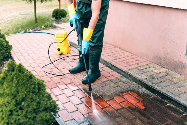  Romulus, MI Pressure Washing Pros