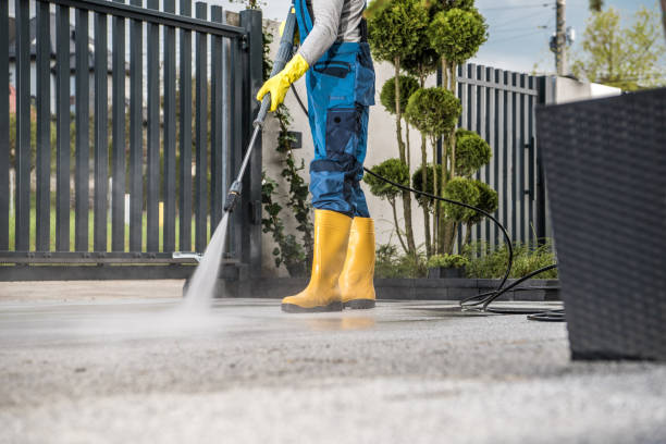 Best Garage Pressure Washing  in Romulus, MI