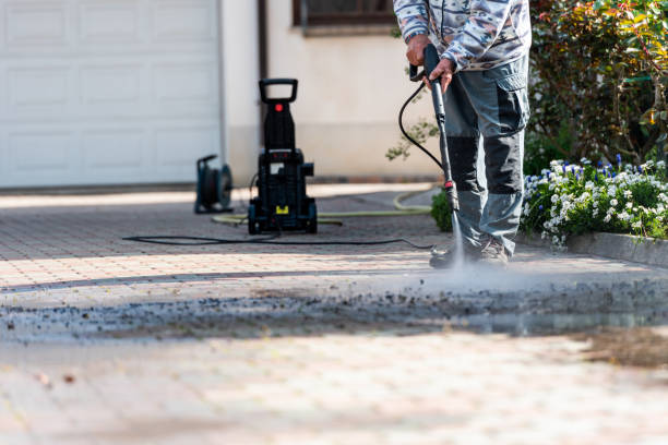 Best Pressure Washing Near Me  in Romulus, MI