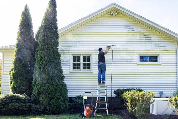 Best Pressure Washing Near Me  in Romulus, MI