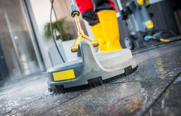 Best Local Pressure Washing Services  in Romulus, MI