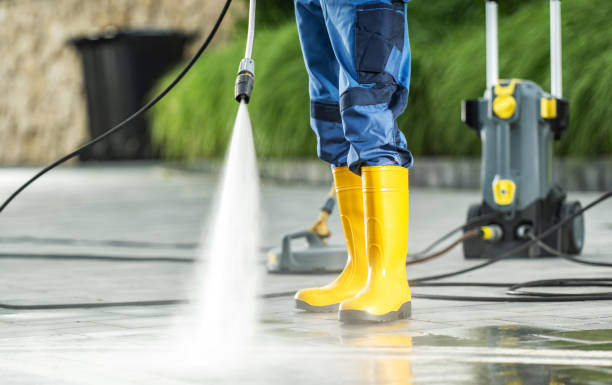 Best Deck Cleaning Services  in Romulus, MI