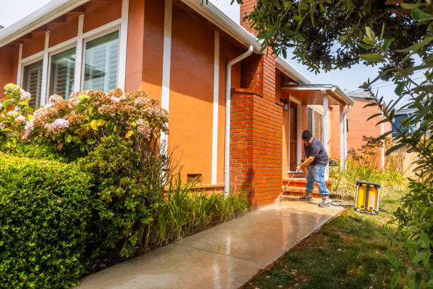 Best Commercial Pressure Washing  in Romulus, MI
