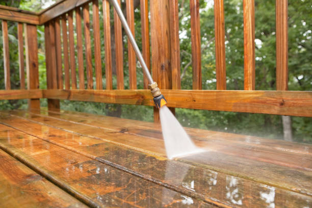 Best Concrete Pressure Washing  in Romulus, MI