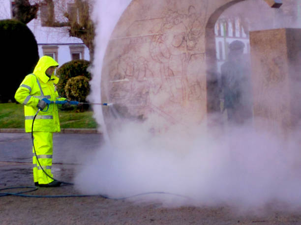 Best Pressure Washing Services Near Me  in Romulus, MI