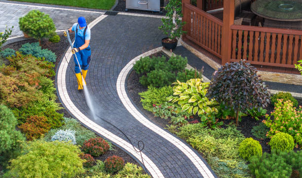 Best Concrete Pressure Washing  in Romulus, MI
