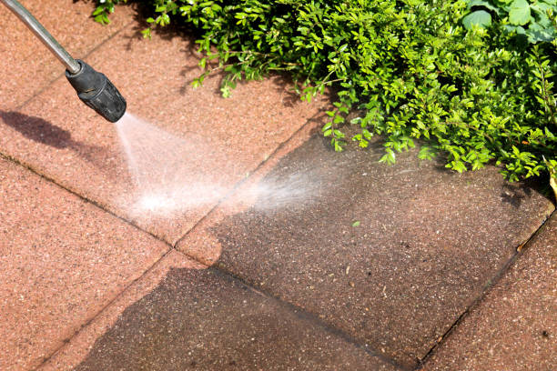 Best Exterior Home Cleaning  in Romulus, MI